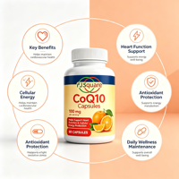 Exportation transfrontalière, capsules de supplément CoQ10 100 mg, flacon de 60 pièces, capsules orales de coenzyme Q10 pur, vente directe