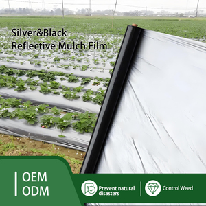 Nhà máy-Giá thấp hơn khuyến mại giữ nước nông nghiệp nhựa <span class=keywords><strong>mulch</strong></span> phim bạc đen Đất <span class=keywords><strong>mulch</strong></span> - Product Image 3