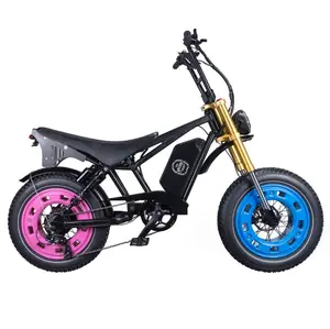 New Electric Vehicle Retro Snow Electric Bicycle Off-Road Fat Tire Electric Assisted Bicycle Wholesale