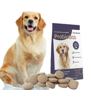 Grosir suplemen makanan hewan peliharaan Prociotics Tablet pasokan hewan Vitamin untuk anjing