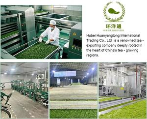 Thé <span class=keywords><strong>vert</strong></span> chinois Chunmee, thé du Maroc et de l'Algérie, 9371, prix d'usine, le <span class=keywords><strong>vert</strong></span> de Chine, faible teneur en résidus de pesticides - Product Image 6