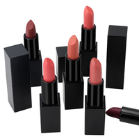 Rouge à lèvres hydratant mat en tube carré, plusieurs teintes, longue tenue, non desséchant, couleur intense, texture crémeuse, marque privée, logo
