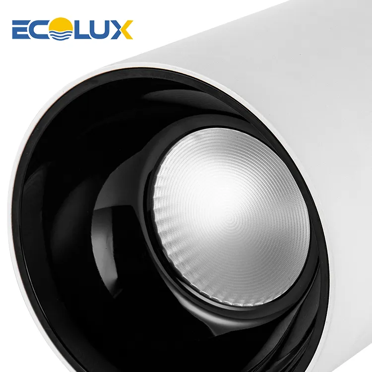 Ecolux yüksek parlaklık alüminyum tavan enerji tasarrufu Led aşağı lamba konut mutfak 10W LED aşağı ışıkları