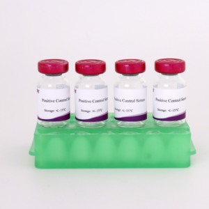 Sérum positif de grippe A <span class=keywords><strong>H1N1</strong></span> HI | Réactif de dosage d'inhibition de l'hémagglutination | QC de diagnostic et de vaccin conforme à l'OMS - Product Image 2