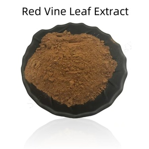 Poudre d'extrait de feuille de vigne rouge personnalisée et vendue en gros Extrait de châtaignier d'Inde Capsule de feuille de vigne rouge - Product Image 3