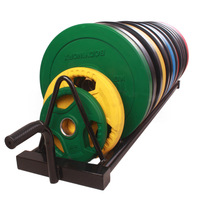 Supports de rangement mobiles robustes en métal écologique pour plaques de musculation, usage commercial et domestique, pour salle de sport