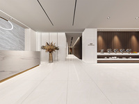Carreaux muraux modernes classiques pour salon 900*1800mm, en porcelaine émaillée polie, imitation pierre, texture brique de feu, pour salle à manger
