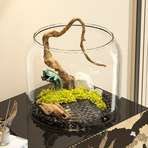 <span class=keywords><strong>Aquarium</strong></span> de bureau rond moderne en plastique transparent écologique pour poissons rouges et plantes vertes - Product Image 2