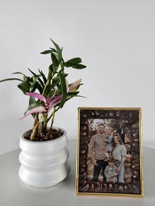 Vente en gros Cadre <span class=keywords><strong>photo</strong></span> de luxe en velours fait à la main avec plumes en métal pour fête Décoration murale de mariage Cadeau d'anniversaire Artisanat - Product Image 2