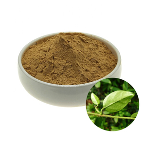 Factory Supply Superior Quality Gymnema Sylvestre <b>Extract</b> Powder Product Gymnemic Acids 25% Cheap Price for Sale - Product Image 1