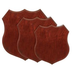 Targa in Legno MDF Personalizzabile con Incisione, Premio con Foglio Metallico - Product Image 6