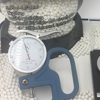 Billes de jeu électroniques en plastique ABS blanc 0,30g pour jouets, avec sac, pour les 14 ans et plus