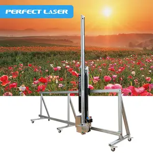 Perfect Laser Direct to Wall high Resolution 3D Effect Inkjet Large Format Printing on the Wood Board Wall Mural Printer