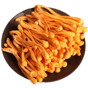 Nấm Cordyceps Militaris Giá Tốt Nhất Cordycepin Hữu Cơ Khô Cordyceps Militaris Đầu Bào Tử Lớn