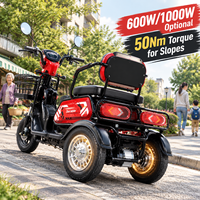 Vélo électrique à 3 roues en gros d'usine, tricycle électrique pliable 48V en acier à haute teneur en carbone, 30 km/h, 3 places pour adultes