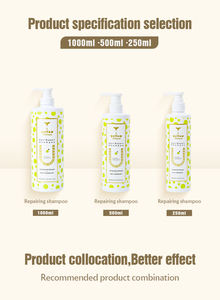 Champú reparador de tratamiento de proteínas de aceite de argán de etiqueta privada para cabello rizado 4C - Product Image 3