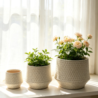 Pot Tanaman Keramik Motif Skala Timbul Warna Beige, Set Pot Berlapis Glaze untuk Dekorasi Ruang Tamu dan Ambang Jendela