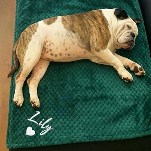 Manta de Franela Personalizada con Nombre y Logotipo Bordado para Perros y Gatos, para Todas las Estaciones, Regalos para Amantes de Mascotas - Product Image 2