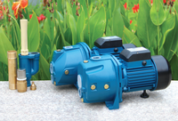 Pompe auto-amorçante à jet haute pression en fonte Forwater JDW 0.5HP pour le traitement de l'eau potable et l'alimentation en eau des puits profonds