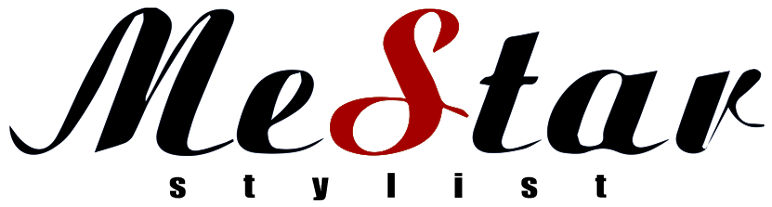 Dongguan MeStar Electric Co., Ltd. logo