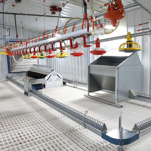Equipo avícola de alta calidad, cadena automática de alimentación, sistema de cría de pollos de engorde, comederos de animales eficientes, alimentador de pollos - Product Image 1