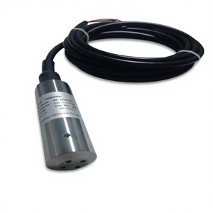 Onderdompelbare 4~20mA vloeistofniveauzender met digitaal LED-display - Product Image 3