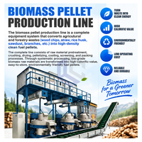 Fully Automatic Industrial Forestry Timber Wood Biomass Pellet Making Line