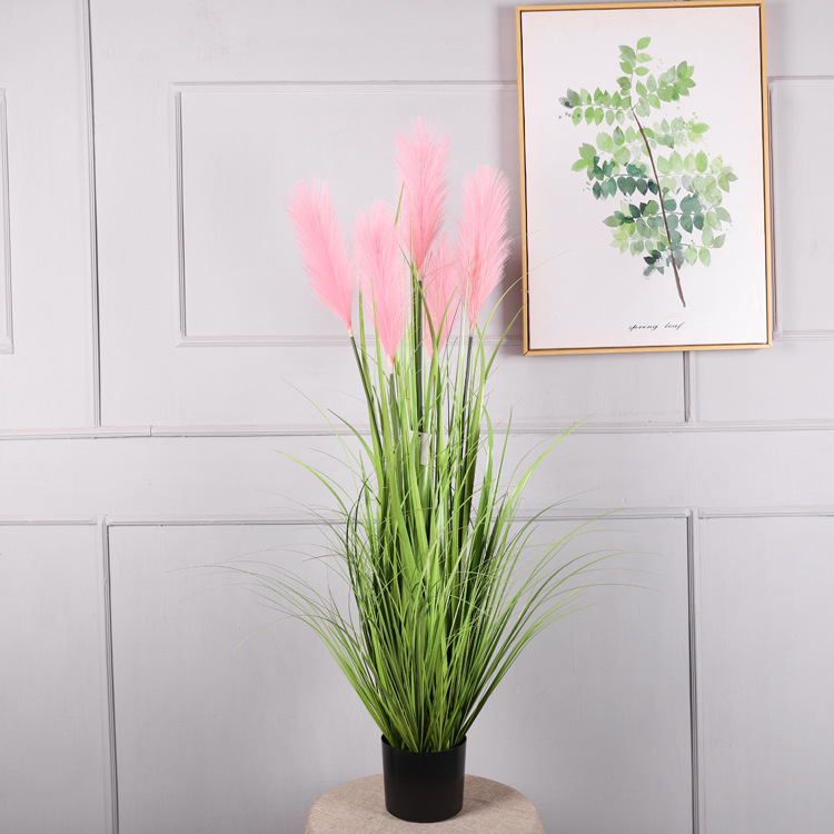 Planta en maceta de 1,2 metros, rosa