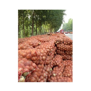 Fournisseur chinois d'oignons frais de haute qualité Vente en gros d'oignons biologiques Oignons rouges - Product Image 2