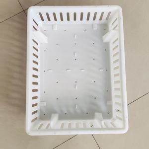 Cesta de Incubación para Pollos, Patos, Gansos, Palomas y Codornices, Accesorios para Incubadoras Comerciales de Granjas Avícolas - Product Image 1