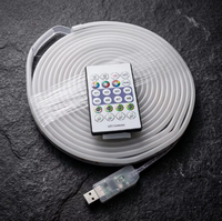 Rubans LED néon RGB en cuivre USB 5V IP67 5M, contrôle par application/télécommande, synchronisation musicale, intensité réglable, mode DIY, décoration pour salle de jeux