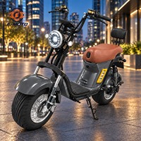 Trottinette électrique double siège à grandes roues et pneus larges pour adultes, idéale pour les trajets urbains, destinée aux distributeurs et aux flottes de location