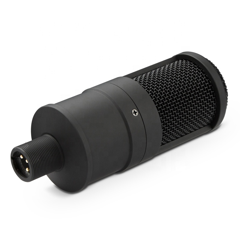 GAM-P200Z Microphone Condenseur Son Microphone D'enregistrement Avec support de bureau kit Pour PC Bavarder Chant Karaoké Portable