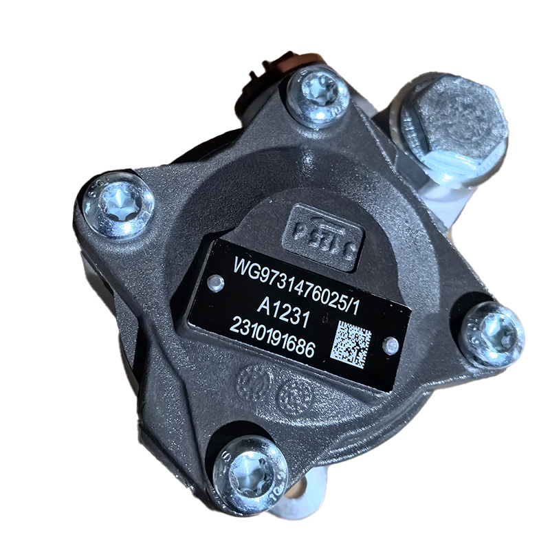 むむむ SINOTRUK HOWO Truck Parts Power Steering Pump WG9731476025