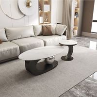 Leichter Luxus-High-End-Edelstahl rahmen Moderner einfacher ovaler Couch tisch im italienischen Stil für kleine Wohnungen