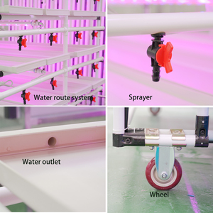 نظام الزراعة الدقيقة المائية في الدفيئة من Lyine ، نظام الزراعة المائية ، نظام الزراعة المائية ، رف نمو رأسي ، أنظمة عمودية للزراعة المائية - Product Image 4