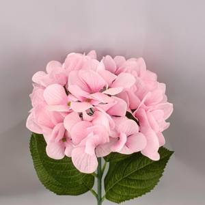 Haute qualité PE <span class=keywords><strong>Hortensia</strong></span> fleur boule vraie touche grande tête vert blanc pour mariage et décor de fête à la maison comprend tige - Product Image 3