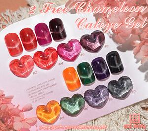 2Free Chameleon Cateye Gel Custom Wholesale Cat Eye Gel Polish 20 Colors Magnetic Nail Gel Polish Cats Jelly <span class=keywords><strong>Pastel</strong></span> Gel Set - Product Image 2