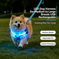 Harness Anjing Multi Warna Grosir untuk Jalan Malam Hari, Rompi Anjing Jaring Lembut, Lampu USB Isi Ulang Reflektif, Sedang Diskon
