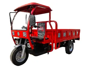 Big Wheels Electric Cargo Tricycle With Eec Certificate For Delivery