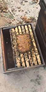 20KG中国製サプライヤー飼料グレードのミツバチ飼料とミツバチ食品健康タンパク質粉末を袋に入れた - Product Image 5