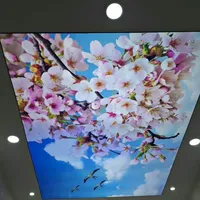 Skyliner Modern 3D Printed Rectangle False Sky Stretch Ceiling Aluminium Frame LED Soft Film Dekoratif Translucent Light Boxes