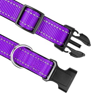 Collier d'entraînement léger pour animaux de compagnie, réglable, pour chien et chat, OEM ODM. - Product Image 5