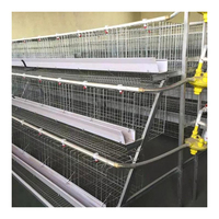 Cage de élevage de volaille pour bébés, Cage pour élevage les enfants avec batterie
