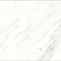 Carrelage en porcelaine imitation marbre blanc Toscana 600x1200mm, moderne, imperméable, pour sol, mur, salon, hôtel, salle de bain, villa, école