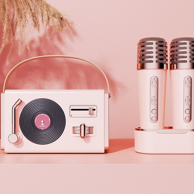 C-220 PLUS Hot Selling Portable Mini Karaoke Speaker Hifi Music Party DJ Voice Changer Magnetic Dual Microphone Charging