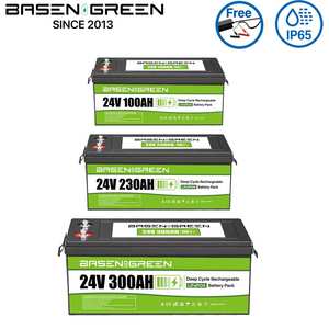 Batería Lifepo4 Basen Green de Alta Calidad, Resistente al Agua IP65, 24v 100ah 230ah 300ah, con Caja, Cargador Gratuito, BMS, Bluetooth y Sistema de Control de Temperatura - Product Image 1
