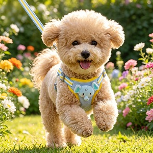 Harnais de type gilet pour animaux de compagnie, réglable, en polyester, pour petits chiens, Bichon Frise, utilisation quatre saisons - Product Image 2