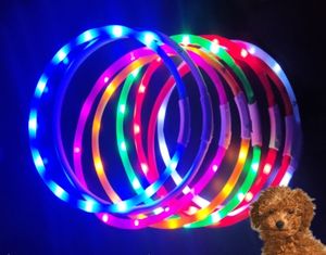 U盘充电硅胶发光二极管点亮宠物狗项圈可调发光项链适合中小型大小狗猫 - Product Image 2