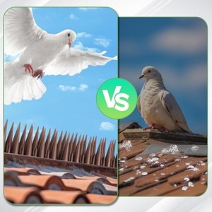 Púas Antipájaros Flexibles y Doblables para Protección Contra Palomas y Gatos, para Techos, Vallas, Balcones y Uso en Exteriores - Product Image 2